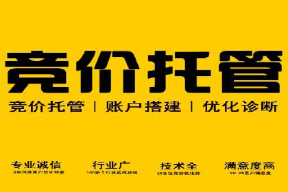 SEM推广案例：转化率提升策略